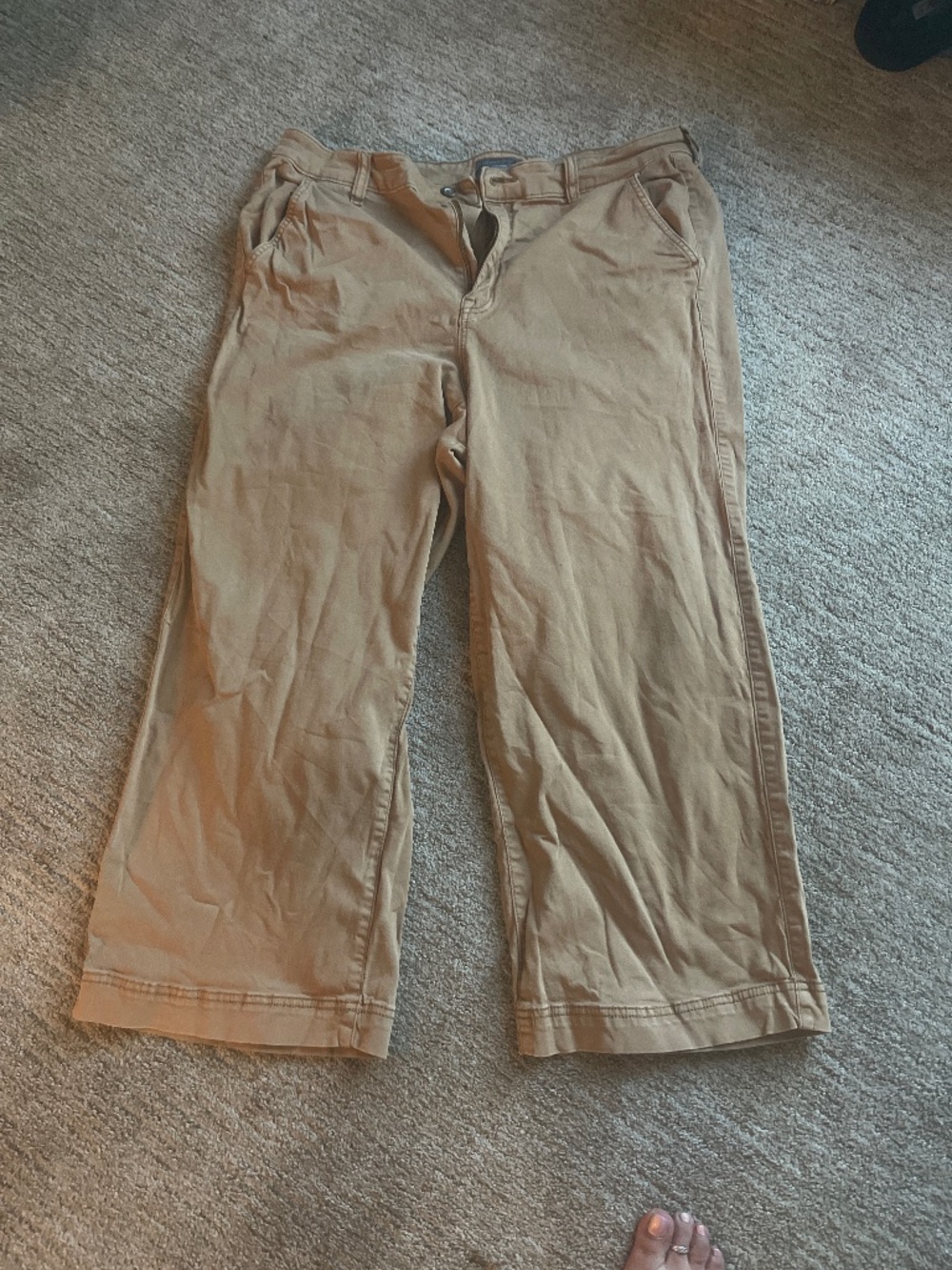 Torrid large leg pants